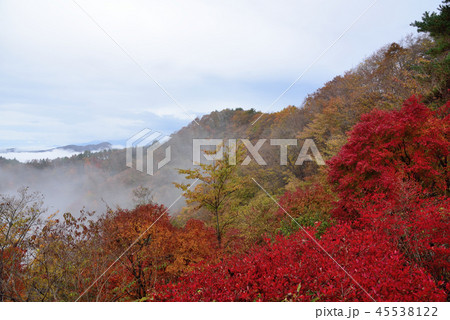 <奥多摩> 紅葉の浅間尾根駐車場からの雲海眺望(奥多摩周遊道路) 東京都西多摩郡 <奥多摩> 紅葉の浅間尾根駐車場からの雲海眺望(奥多摩周遊道路) 東京都西多摩郡 45538122