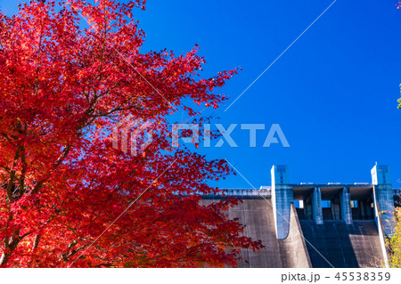 （神奈川県）宮ヶ瀬ダム　紅葉 45538359
