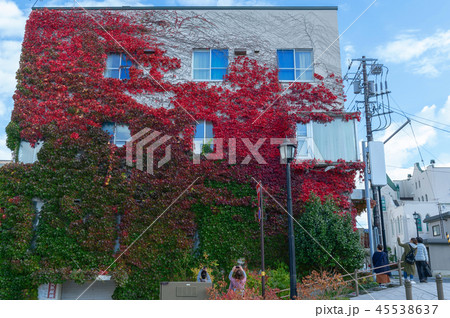 【北海道函館元町】蔦の絡まる建造物の壁、観光客のカメラが一斉に注目 45538637