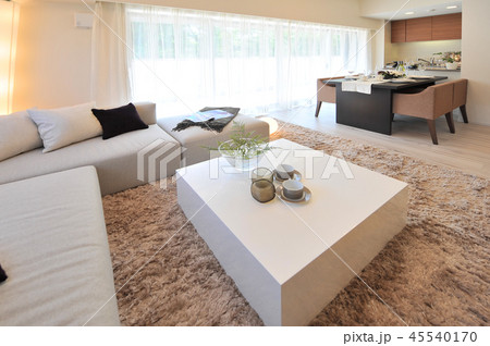 リビングルーム　住宅 45540170