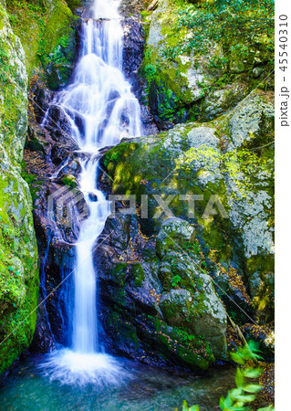 梅の木轟の滝の紅葉　【熊本県八代市五家荘】 45540310