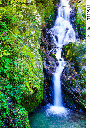 梅の木轟の滝の紅葉　【熊本県八代市五家荘】 45540311