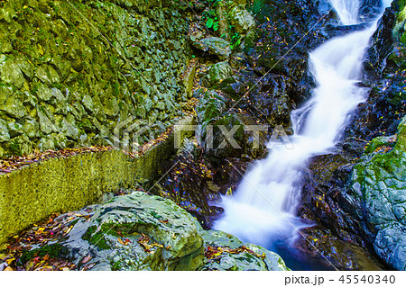 梅の木轟の滝の紅葉　【熊本県八代市五家荘】 45540340