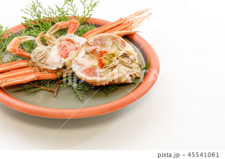 魚介類　蟹　セイコカニ　セコカニ　コッペカニ 45541061