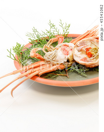 魚介類 蟹 セイコカニ セコカニ コッペカニ 魚介類 蟹 セイコカニ セコカニ コッペカニ 45541062