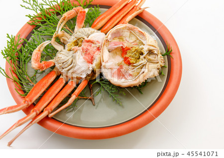 魚介類　蟹　セイコカニ　セコカニ　コッペカニ 45541071