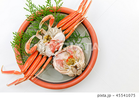魚介類 蟹 セイコカニ セコカニ コッペカニ 魚介類 蟹 セイコカニ セコカニ コッペカニ 45541075