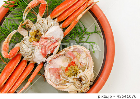 魚介類　蟹　セイコカニ　セコカニ　コッペカニ 45541076