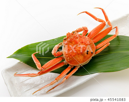 魚介類　蟹　セイコカニ　セコカニ　コッペカニ 45541083