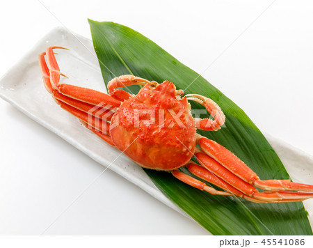 魚介類　蟹　セイコカニ　セコカニ　コッペカニ 45541086