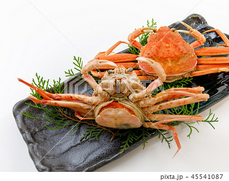 魚介類　蟹　セイコカニ　セコカニ　コッペカニ 45541087