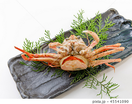 魚介類　蟹　セイコカニ　セコカニ　コッペカニ 45541090