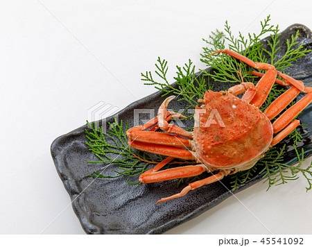 魚介類 蟹 セイコカニ セコカニ コッペカニ 魚介類 蟹 セイコカニ セコカニ コッペカニ 45541092