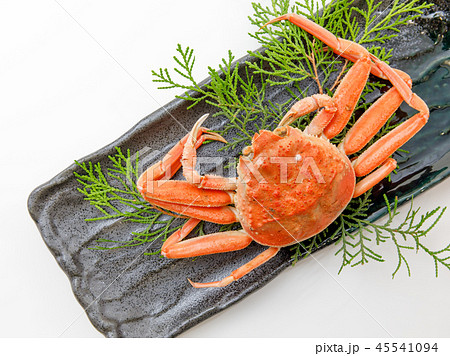魚介類　蟹　セイコカニ　セコカニ　コッペカニ 45541094