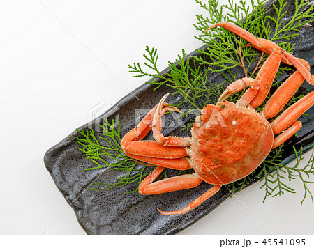 魚介類　蟹　セイコカニ　セコカニ　コッペカニ 45541095