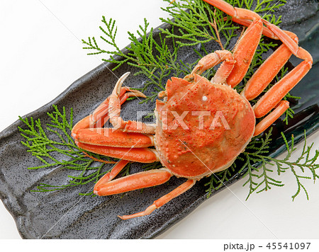 魚介類　蟹　セイコカニ　セコカニ　コッペカニ 45541097