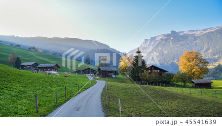 Landscape with mountain village in autumn 45541639