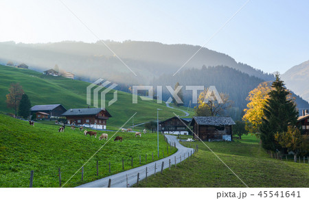Landscape with mountain village in autumn Landscape with mountain village in autumn 45541641