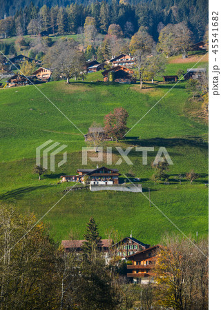 Landscape with mountain village in autumn 45541682