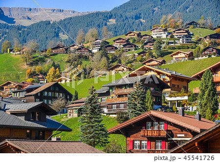 Landscape with mountain village in autumn Landscape with mountain village in autumn 45541726