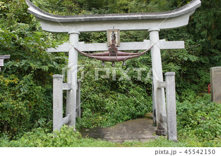 弘前郊外、大狼（おおかみ）神社の両部鳥居 45542150