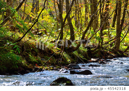 田沢湖線沿線風景 田沢湖線沿線風景 45542318