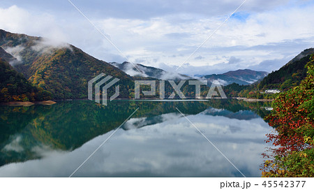 <奥多摩湖> 霧と紅葉の奥多摩湖 (アスペクト比16:9) 東京都西多摩郡奥多摩町 <奥多摩湖> 霧と紅葉の奥多摩湖 (アスペクト比16:9) 東京都西多摩郡奥多摩町 45542377