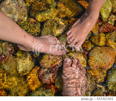 Sea pebble stones and multicolor rocks 45542393