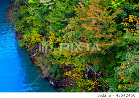宝仙湖　秋田県 45542450
