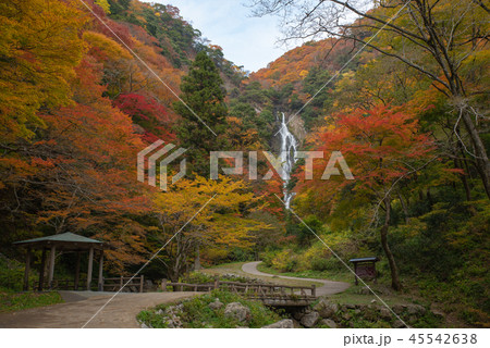 神庭の滝～神庭の滝の秋景色～ 45542638