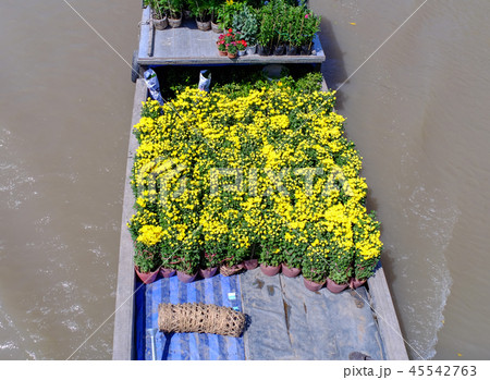 Cargo boat carrying flowers in Vietnam 45542763