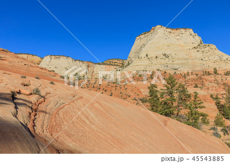 Scenic Zion National Park Fall Landscape 45543885