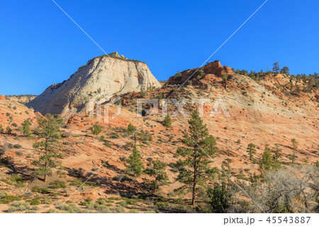 Scenic Zion National Park Fall Landscape Scenic Zion National Park Fall Landscape 45543887