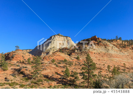 Scenic Zion National Park Fall Landscape 45543888