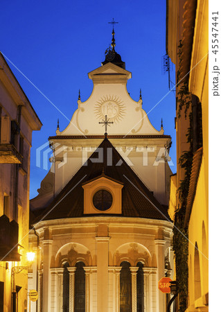 Zamosc Cathedral Zamosc Cathedral 45547441
