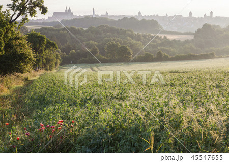 Panorama of Rothenburg at sunrise 45547655