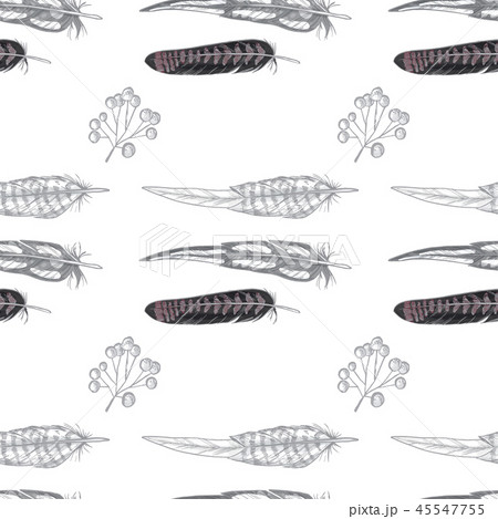 Vector Black and White Feather Pattern. 45547755