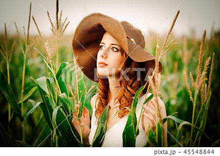 girl is standing in a field of corn cobs girl is standing in a field of corn cobs 45548844
