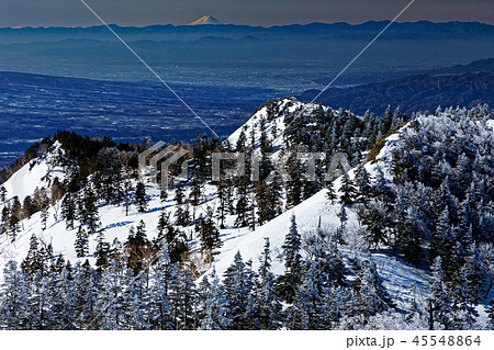 上州武尊山の樹氷と富士山遠望 45548864
