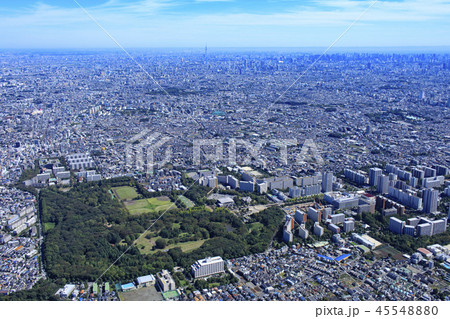 光が丘公園と都心／光が丘団地、郊外の住宅地 45548880