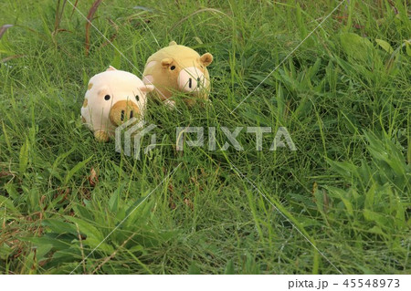 年賀状素材、新年のイメージ、亥年 45548973