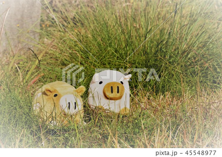 年賀状素材、新年のイメージ、亥年 45548977