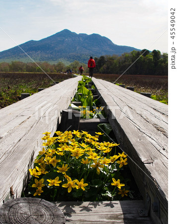 春の尾瀬ヶ原と燧ヶ岳 45549042