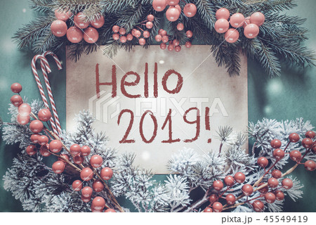 Christmas Garland, Fir Tree Branch, Hello 2019 45549419