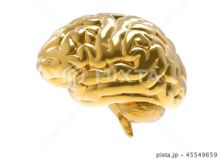 3D Gold human brain illustration on white BG 45549659