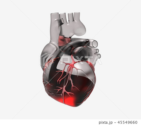 3D transparent human heart with blood and vein 45549660