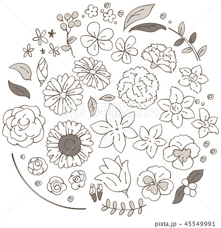 Set Of Various Flower Illustrations Sepia Stock Illustration