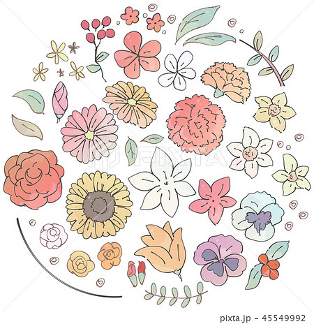 Set Of Various Flower Illustrations Watercolor Stock Illustration