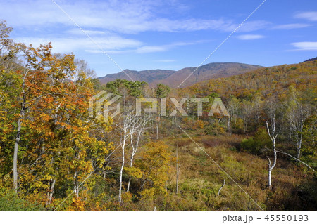 志賀高原平穏の紅葉 志賀高原平穏の紅葉 45550193