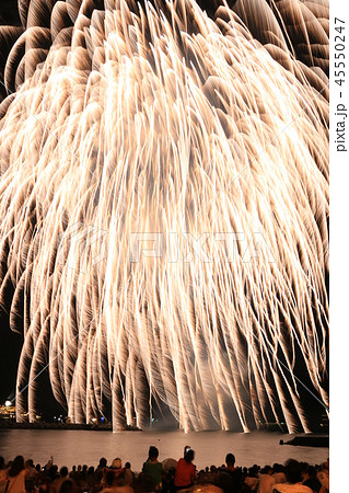 静岡県伊東市第72回按針祭海の花火大会 45550247